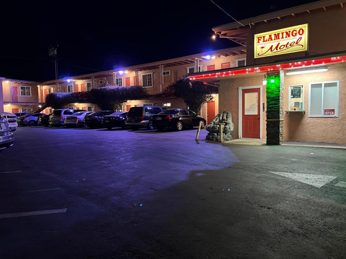 Flamingo Oxnard
